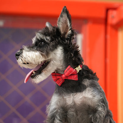Custom Dog Collar Nylon Puppy Dog Collars With Cute Bowknot Engraved Pet Necklace Dog Collars For Small Medium Dogs Chihuahua