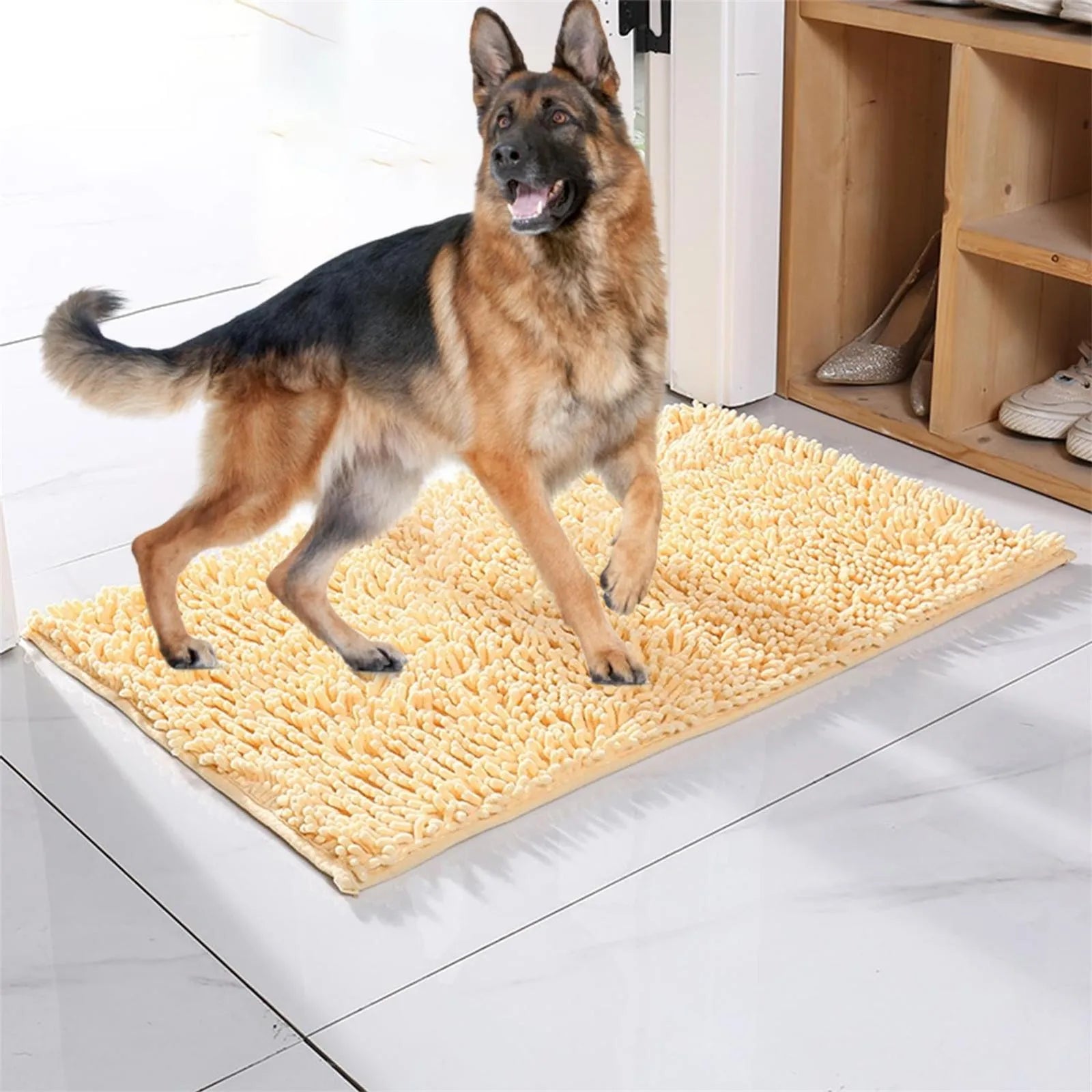 Sfe3209ec23ea4a58971518fce2be3f75H - bestdoggylife.shop