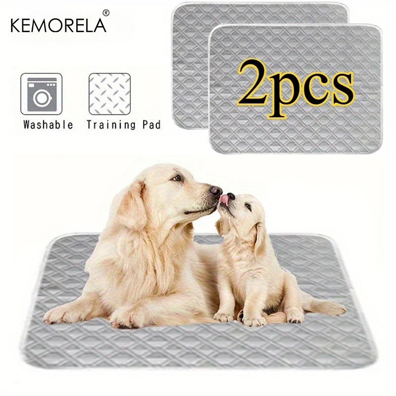 Two golden retrievers on gray washable dog training pads, pack of 2