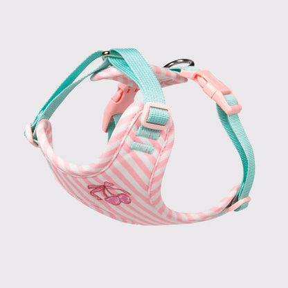 Elegant Puppy Harness Leash Set with Cute Plush Doll, Stylish Adjustable Vest Harness for Small Dogs, Fashion Walking Accessorie