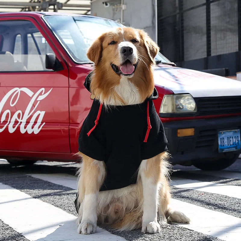 Sff528615da614ab8b367bb484206f76dC - bestdoggylife.shop