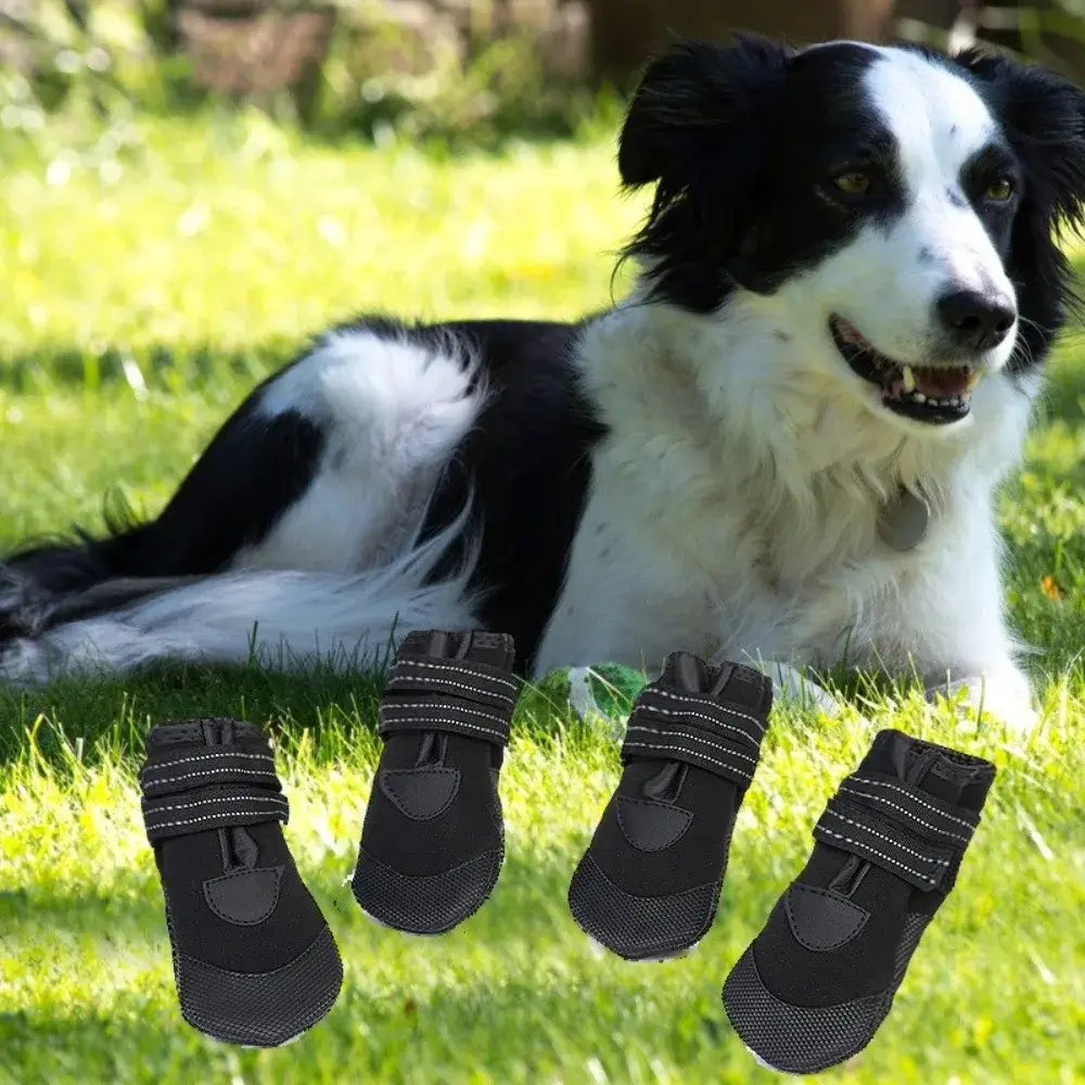 Adjustable waterproof dog boots displayed next to a happy dog relaxing on a grassy field.