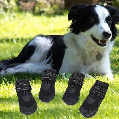 Adjustable waterproof dog boots displayed next to a happy dog relaxing on a grassy field.