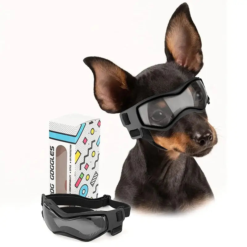 adjustable dog sunglasses for small breeds, UV protection pet goggles for car rides, outdoor riding, and driving