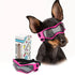 Pink adjustable dog sunglasses for small breeds, UV protection pet goggles for outdoor riding and driving, easy wear puppy glasses