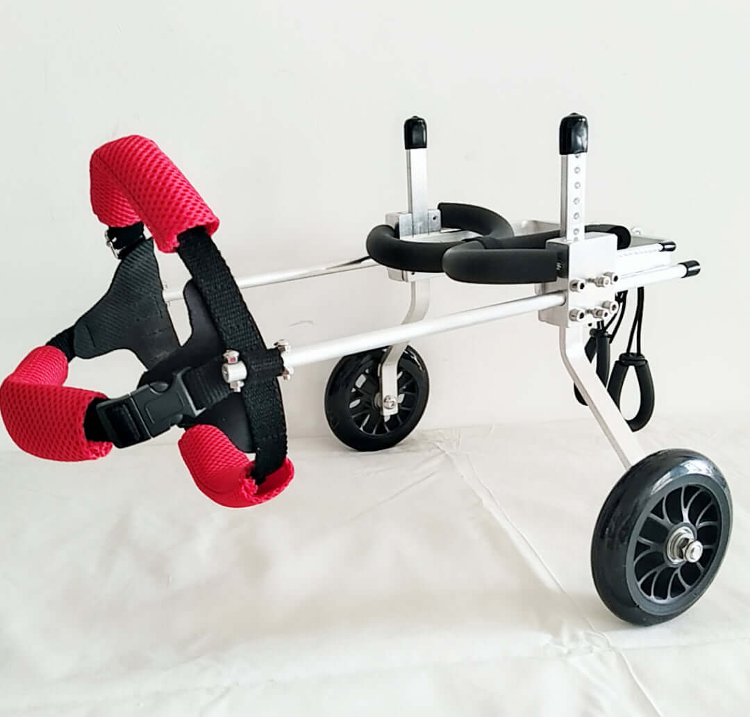 adjustable dog wheelchair with red padded supports for pets, designed for mobility and comfort in small sizes.