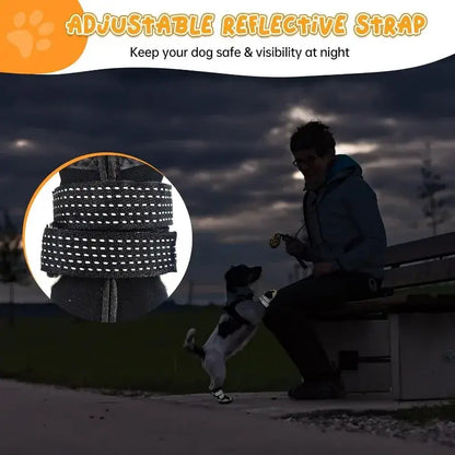 Adjustable reflective strap for dogs, enhancing visibility at night for safe outdoor activities.