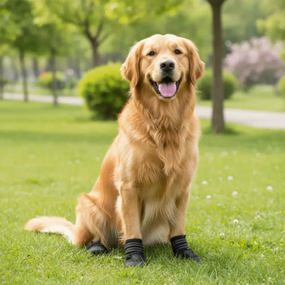 Golden retriever wearing adjustable waterproof dog boots sitting on grass in a park.