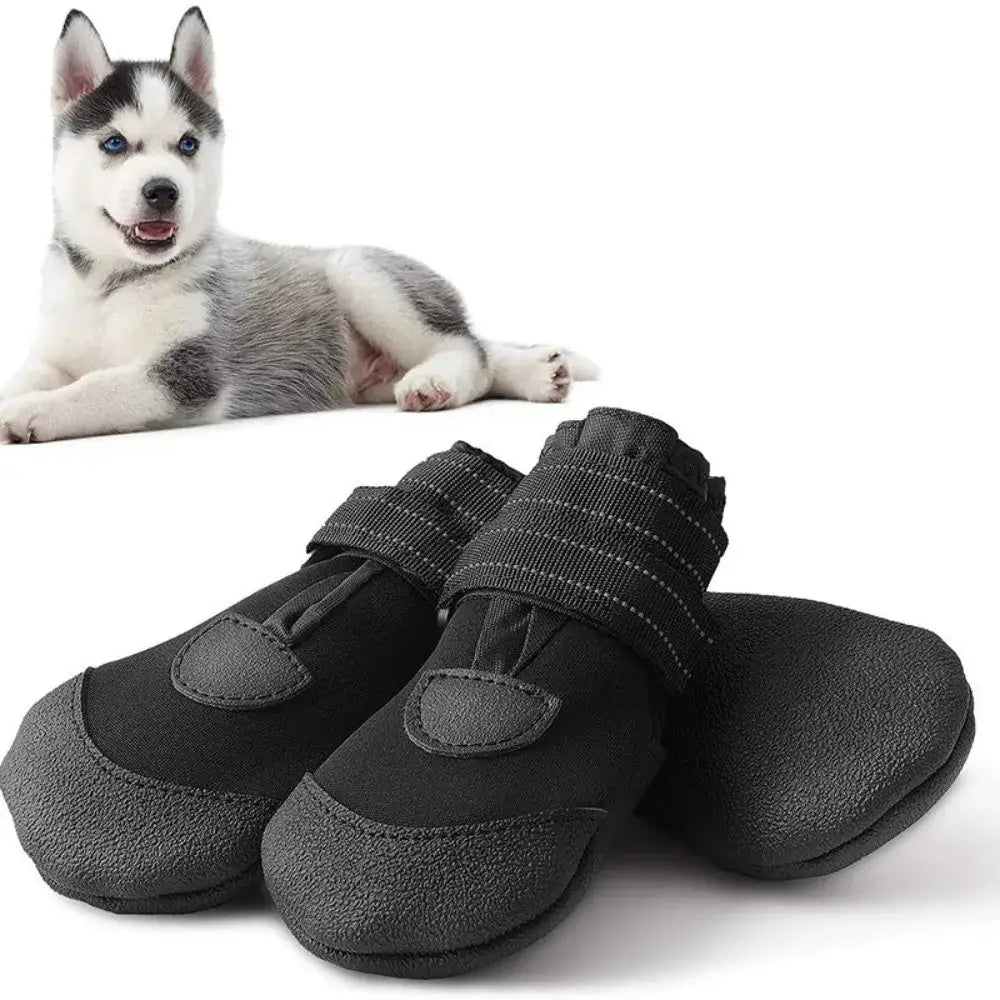 Adjustable waterproof dog boots displayed next to a playful husky, showcasing wear-resistant and comfortable design.