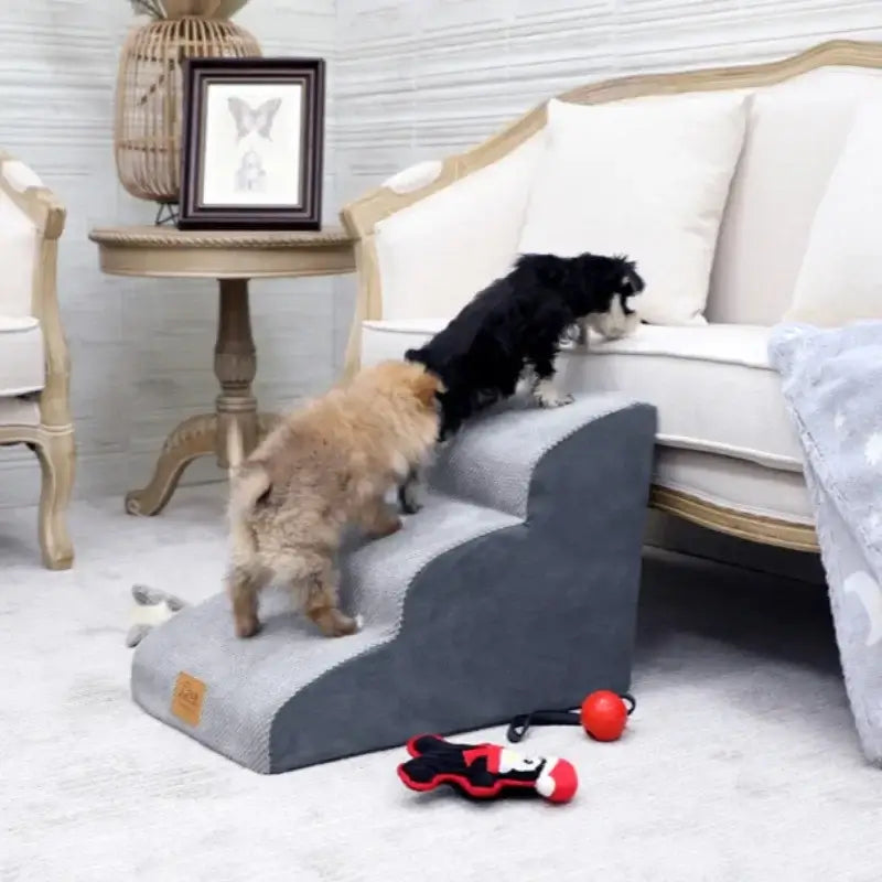 Two small dogs using anti-slip dog stairs for small dogs to reach a couch, showcasing a cozy living room setting.