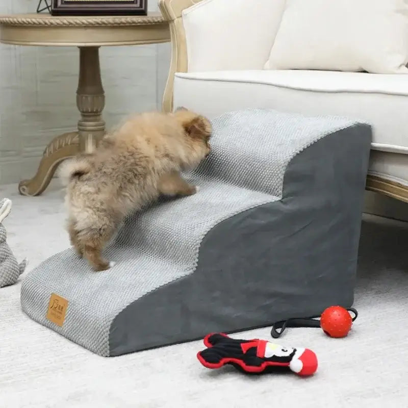 A small dog climbing on anti-slip dog stairs for small dogs in a cozy living room setting.