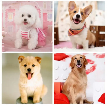 Collage of four adorable dogs: a fluffy Poodle, a cheerful Corgi, a playful puppy, and a golden retriever, showcasing pet friendliness.