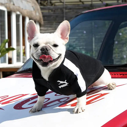 Baseball dog jacket for small dogs, black and white sporty pet coat for French Bulldog, Chihuahua, and Pug