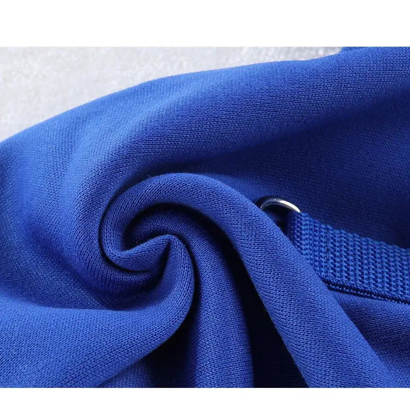 Blue dog winter hoodie made from soft polyester fabric for small dogs, warm pullover sweatshirt for winter wear