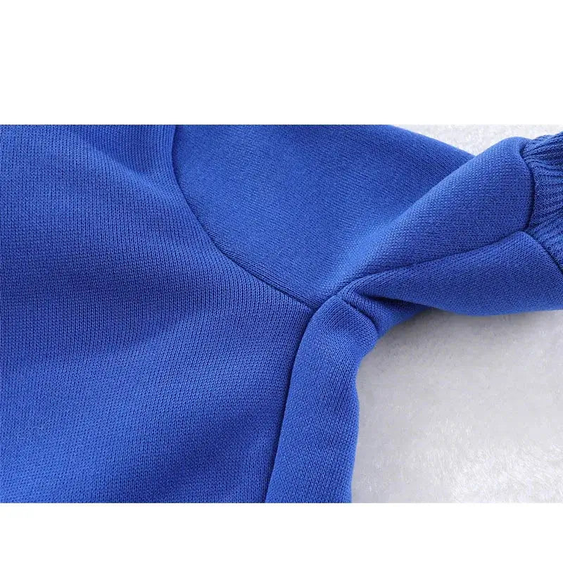 Blue dog winter hoodie made of soft polyester, warm pullover sweatshirt for small dogs and puppies in winter