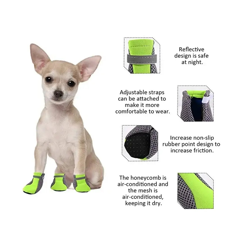 Breathable waterproof dog shoes on a small Chihuahua with reflective design and adjustable straps for comfort.