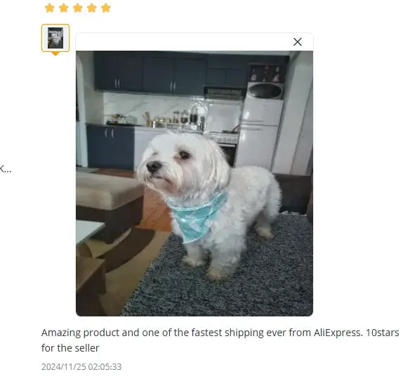 White dog wearing a christmas dog bandana in a home kitchen, cute pet accessory for festive dress up