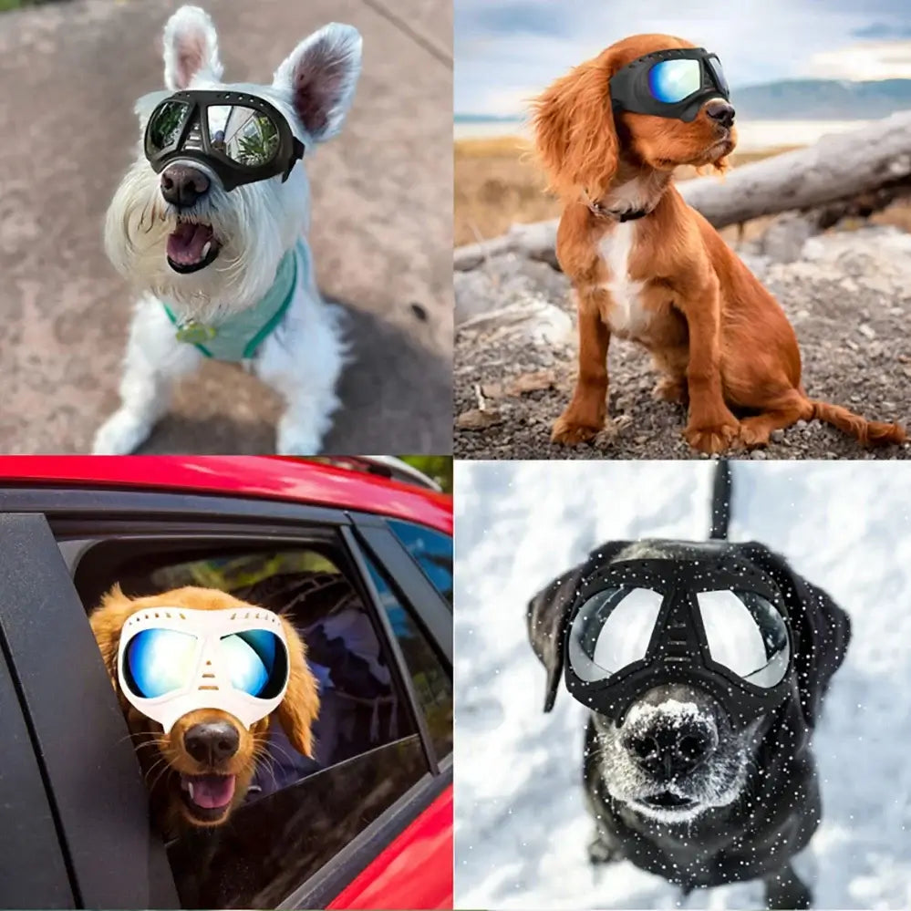 dog sunglasses with UV protection for small to large dogs wearing windproof pet goggles for swimming, skating, and travel