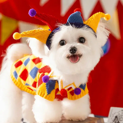 Cute white dog wearing a dog sweater with hat set, colorful plaid winter pet costume for small dogs