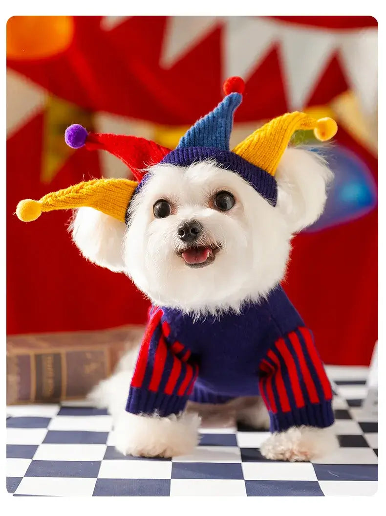 dog sweater with hat set colorful plaid jester costume for small dogs and puppies, warm autumn winter pet clothing