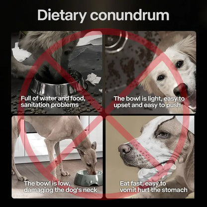 Dietary conundrum image highlighting issues with standard dog bowls, promoting elevated feeding solutions.