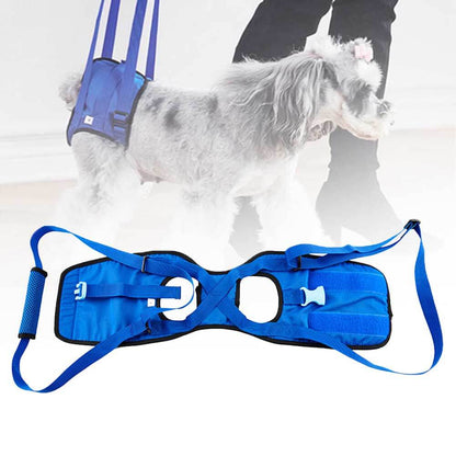 dog walking assist harness for older and injured dogs, featuring a comfortable blue design.