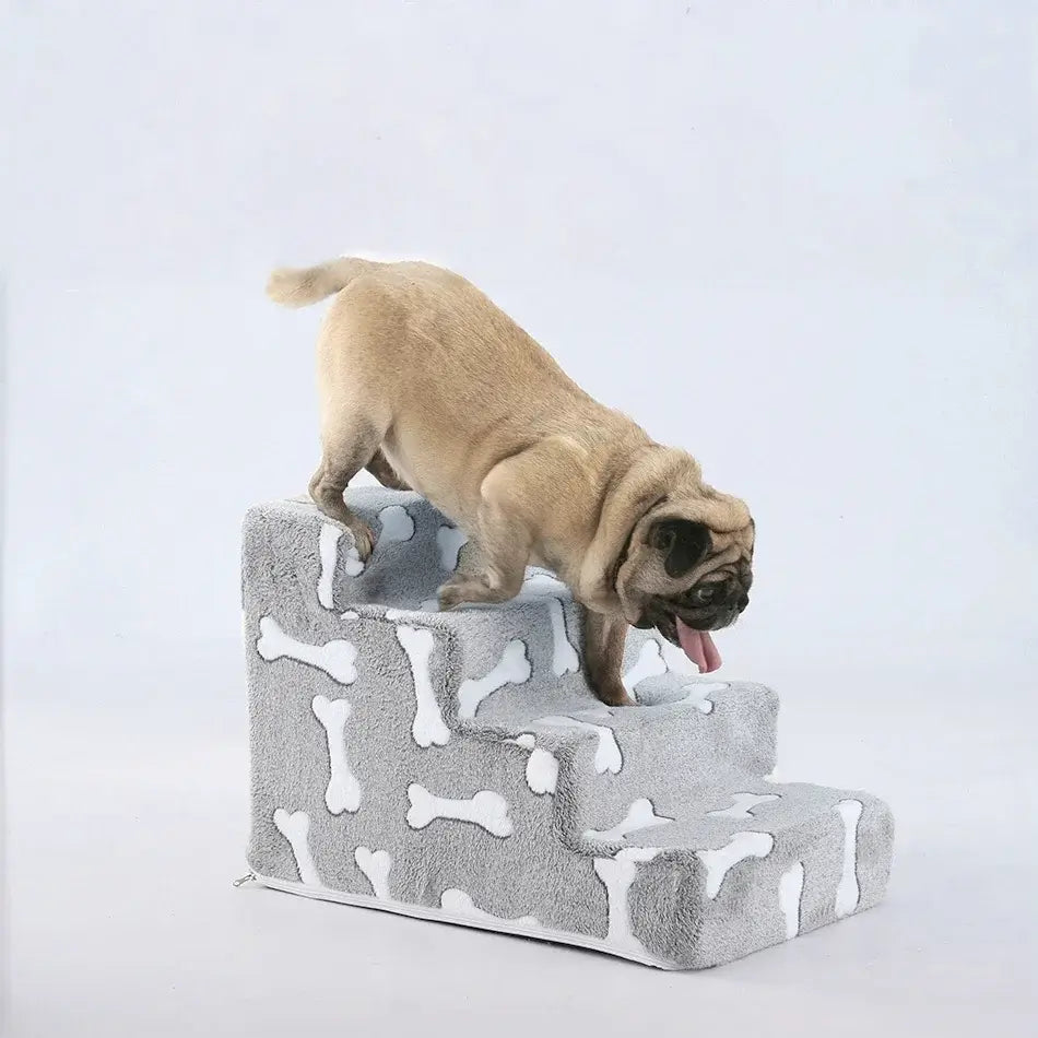 dog on a cozy bone-patterned safety ramp for medium dogs, showcasing the dog safety ramp for medium dogs features.