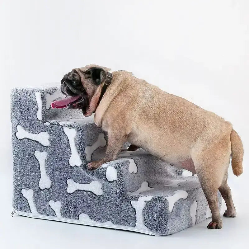 A medium dog using a dog safety ramp for medium dogs with a bone pattern beside a sofa.