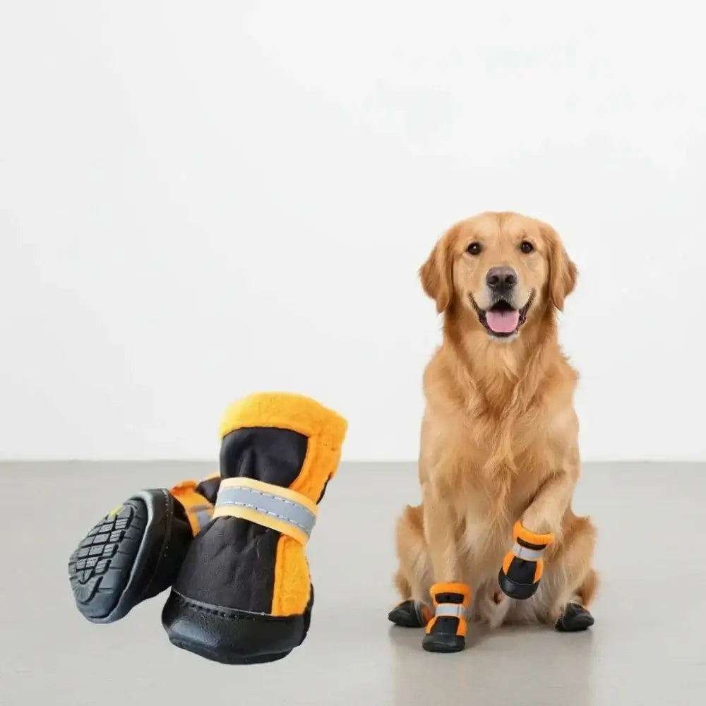 Winter dog boots for small dogs showcased with a golden retriever wearing protective booties.