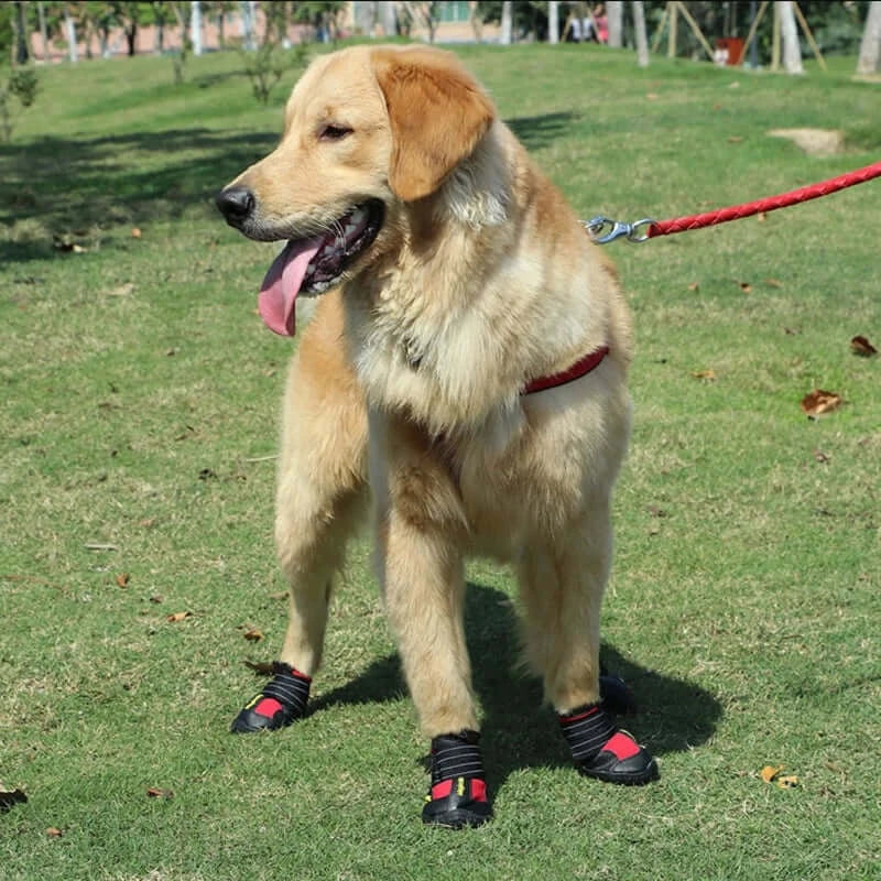 Dog Shoes Breathable Waterproof Outdoor Dog Boots Anti-Skid Wear-Resisting Reflective Pet Shoes for Small Medium Large Dogs