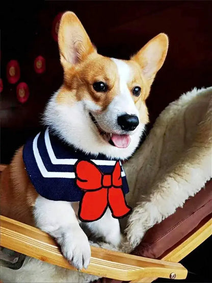 Cute corgi wearing a pet bandana sailor-style costume accessory for pets