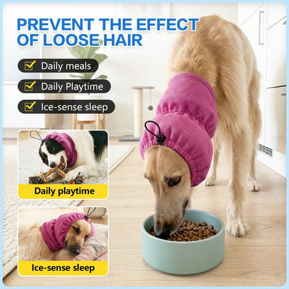 Dog wearing a dog cooling bandana indoors to reduce shedding and keep cool during meals, playtime, and sleep
