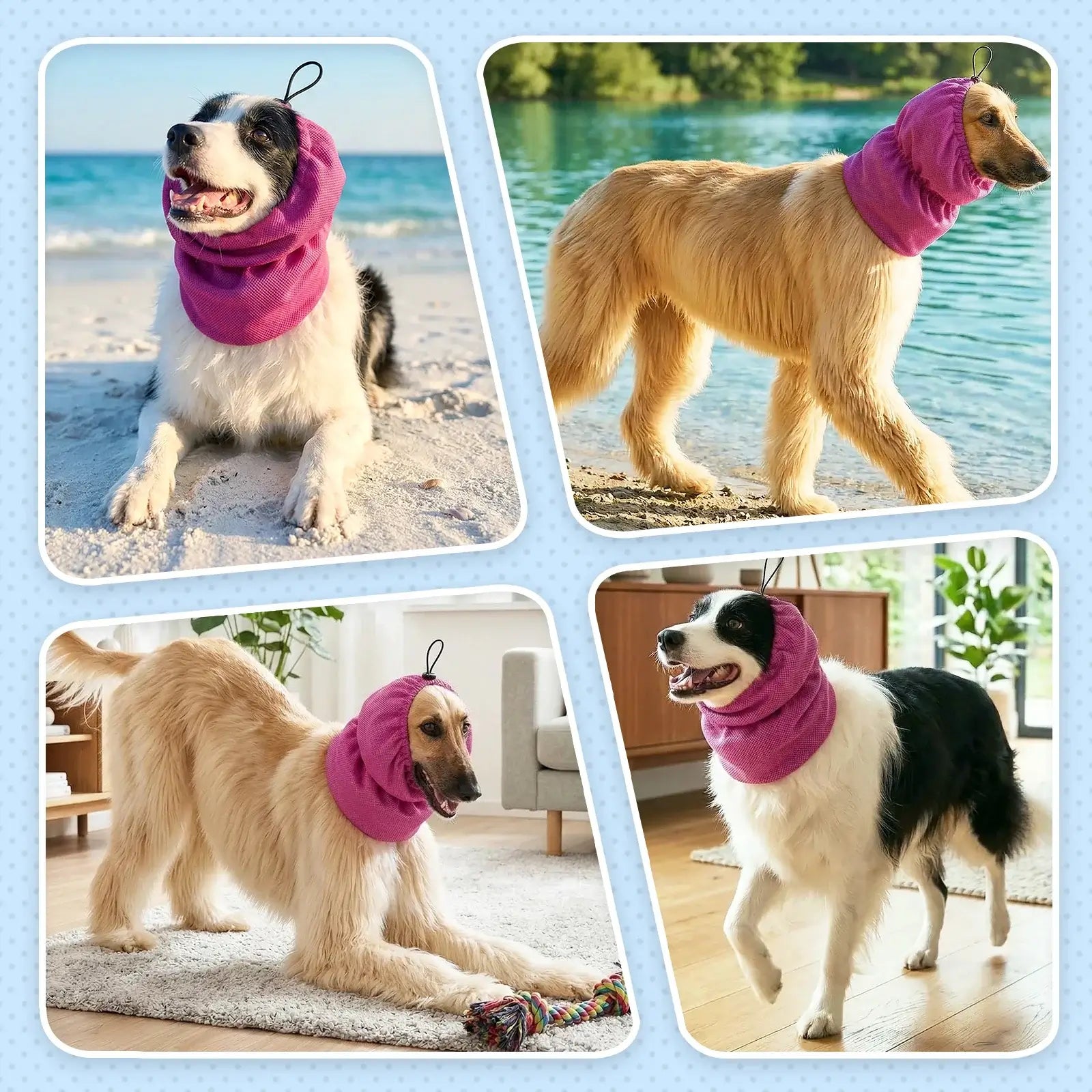 dog cooling bandana on dogs for summer beach walks, hiking, camping, and training