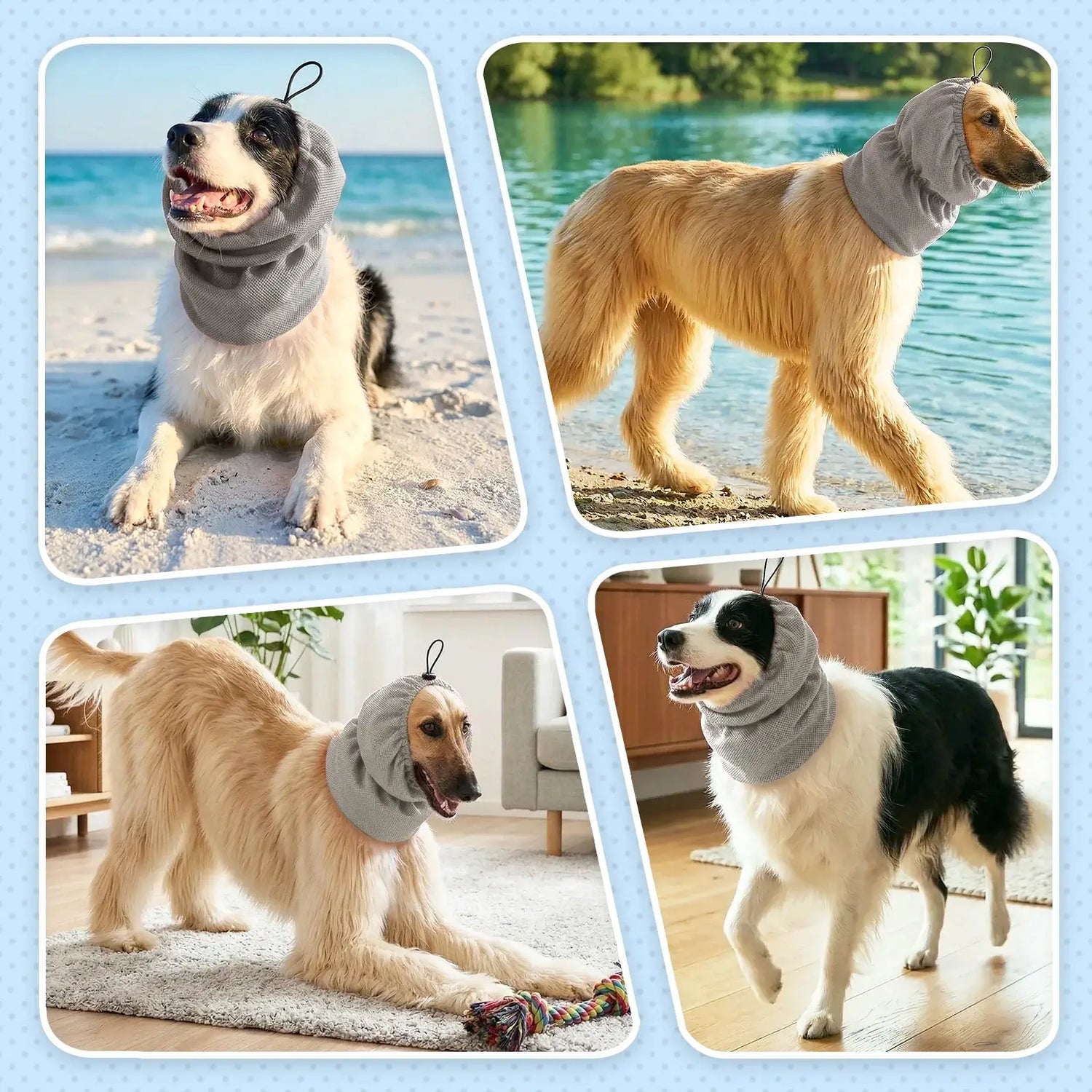 dog cooling bandana for summer pet cooling collar on beach, swimming, hiking, and indoor use