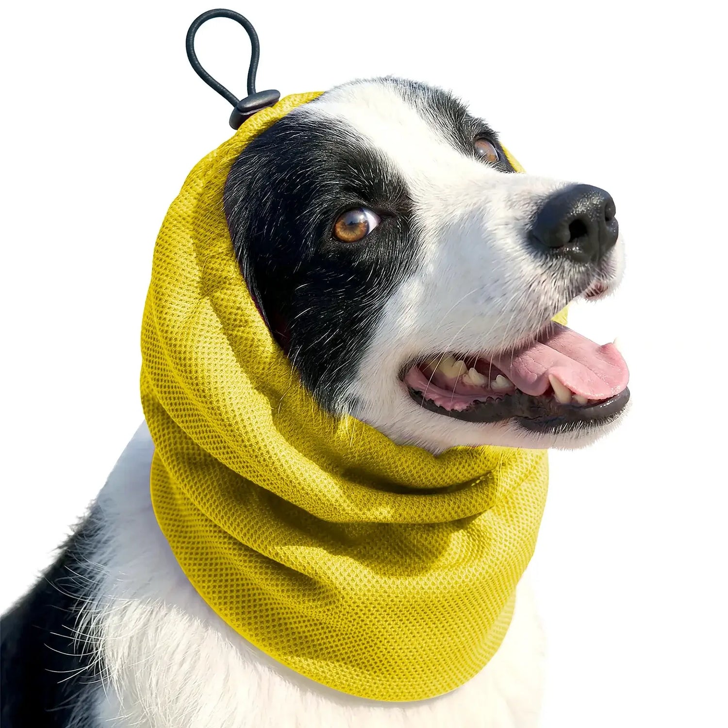Yellow dog cooling bandana neck wrap for dogs, breathable ice scarf for summer hiking, camping, hunting training
