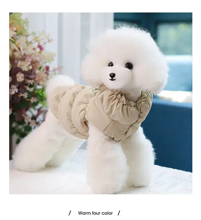 white fluffy dog wearing a cotton dog jacket with warm straps for autumn and winter comfort