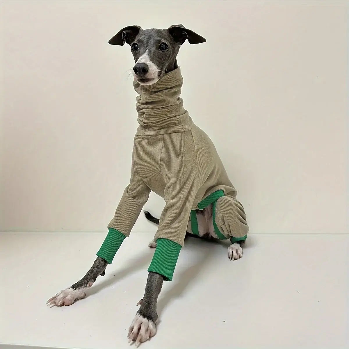 Dog wearing dog fleece jacket, four-legged warm fleece coat for greyhounds with smaller neck circumference, solid beige and green