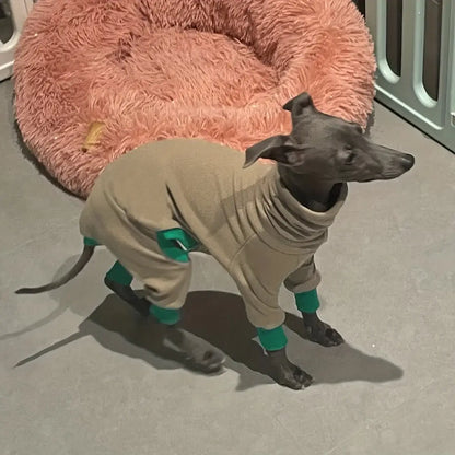 Greyhound wearing a dog fleece jacket for warmth and comfort, designed for smaller neck circumference and four-legged fit.