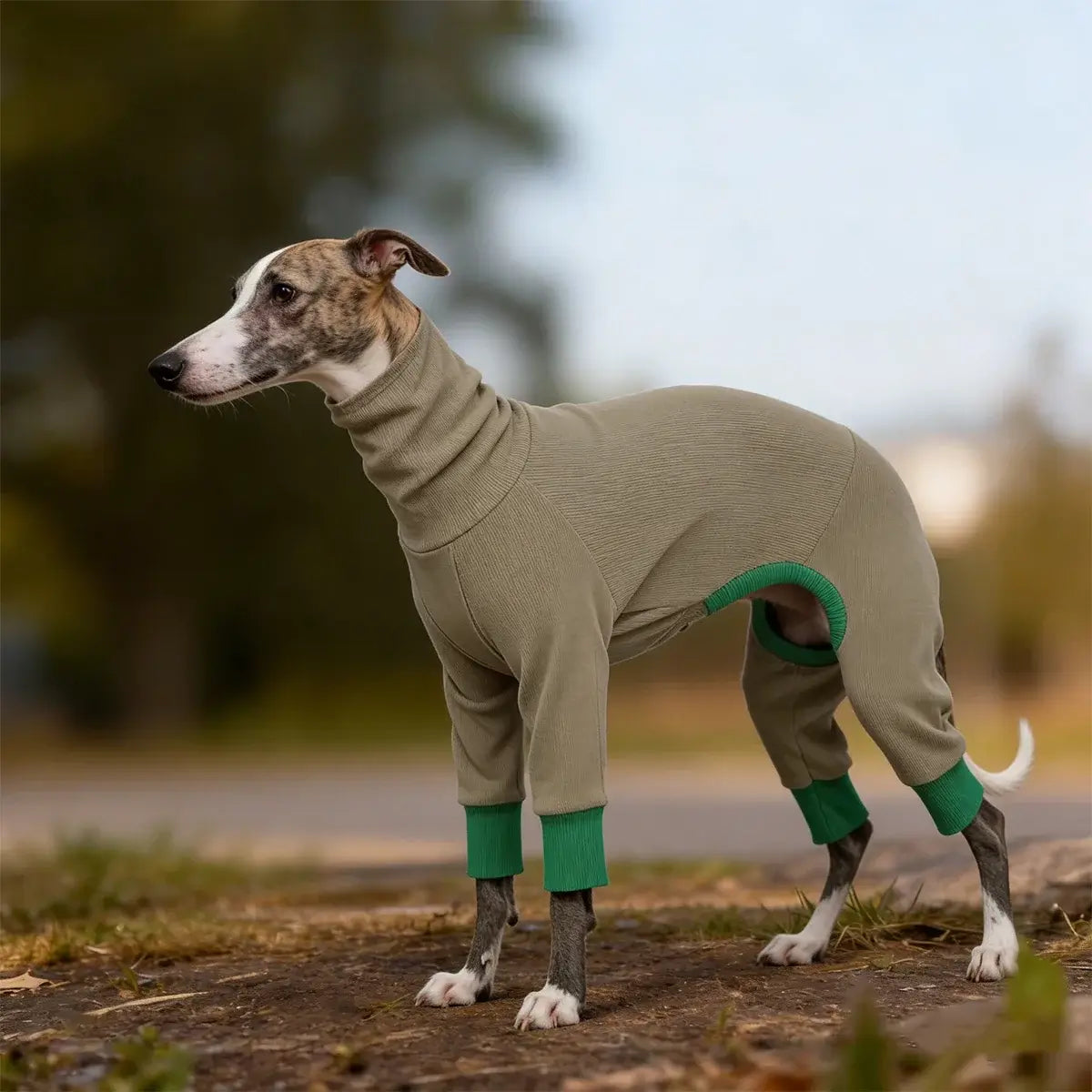 dog fleece jacket for greyhounds, warm four-legged fleece dog jacket with snug fit and comfortable coverage