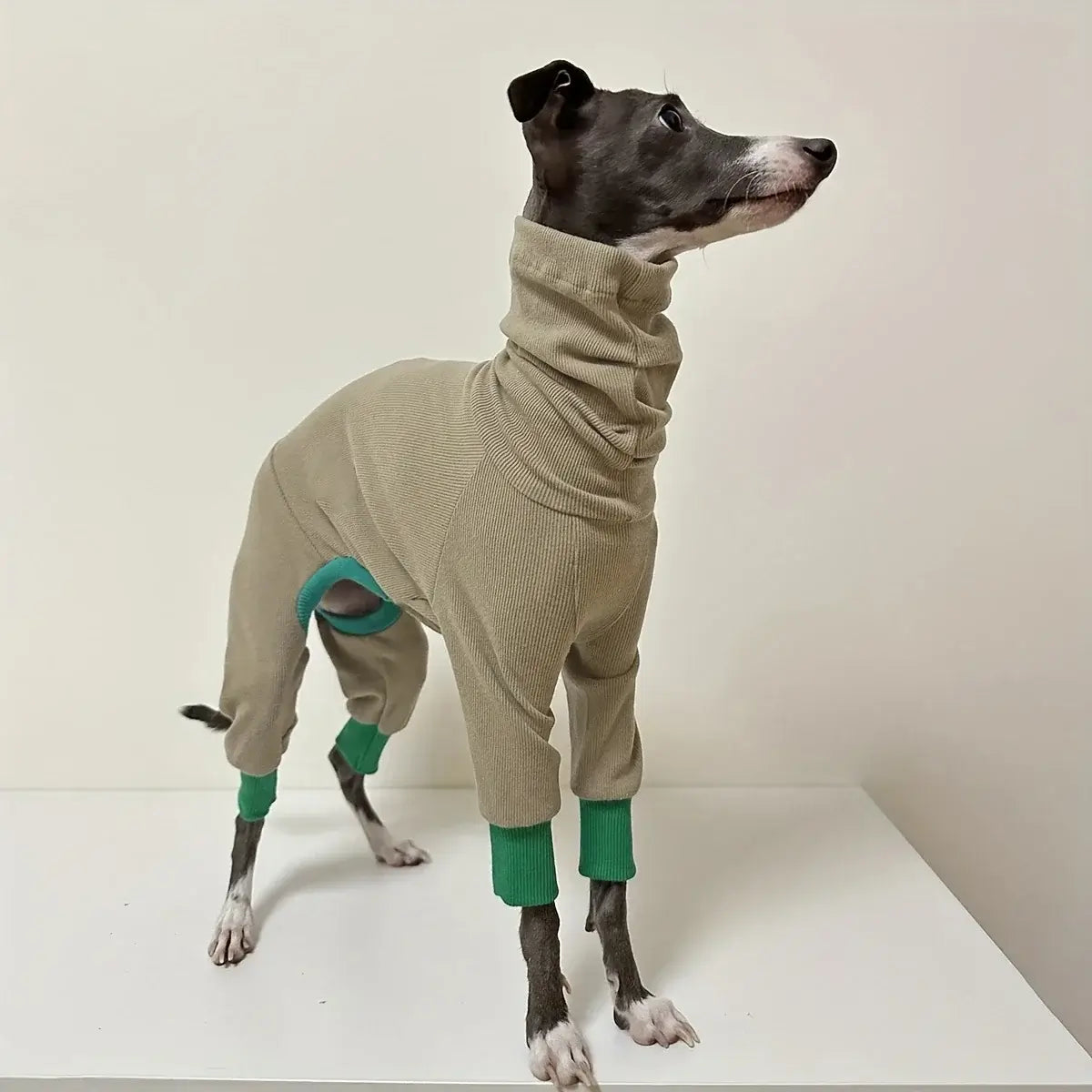 dog fleece jacket for greyhounds, warm four-legged beige fleece with green cuffs, suitable for smaller neck circumference
