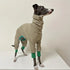 dog fleece jacket for greyhounds, warm four-legged beige fleece with green cuffs, suitable for smaller neck circumference