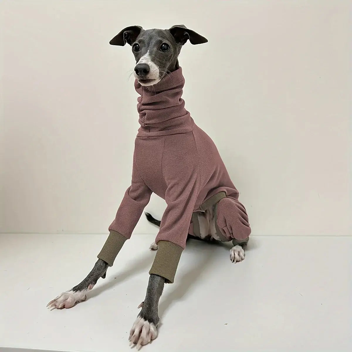 Greyhound wearing a warm dog fleece jacket with full-body coverage and snug fit for smaller necks