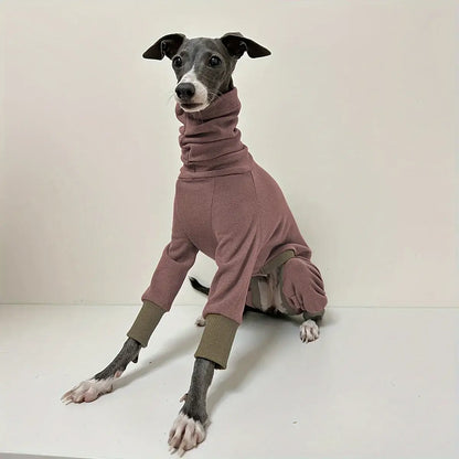 Greyhound wearing a warm dog fleece jacket with full-body coverage and snug fit for smaller necks