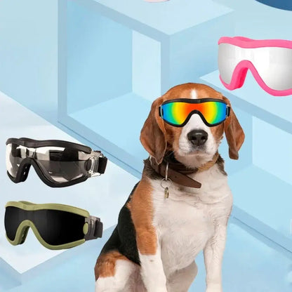 Dog wearing dog sunglasses with adjustable strap, UV resistant, windproof, anti-fog waterproof pet goggles for outdoor sports