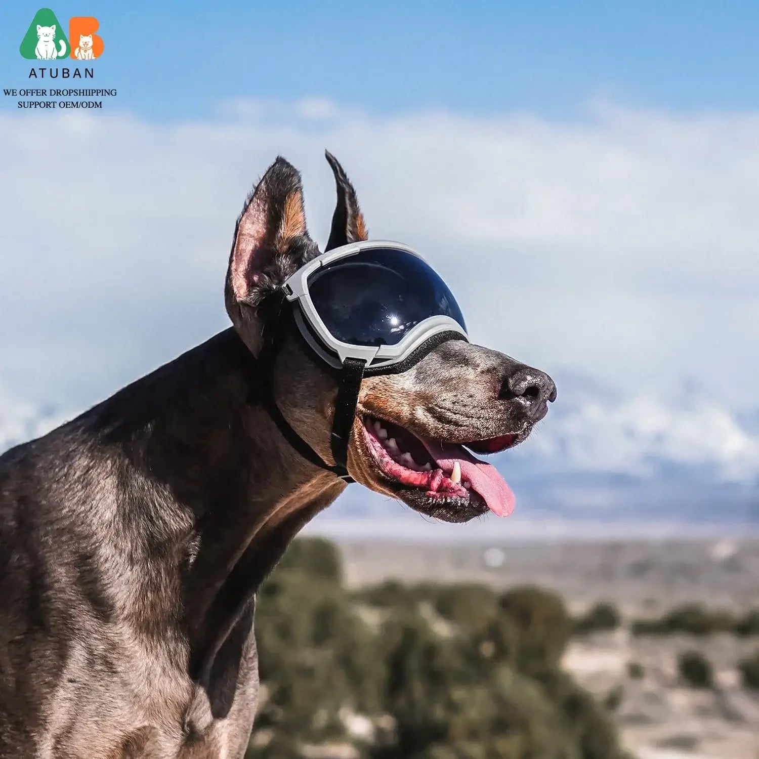 dog sunglasses with UV protection for outdoor travel, adjustable ski goggles for dogs, protective pet eyewear