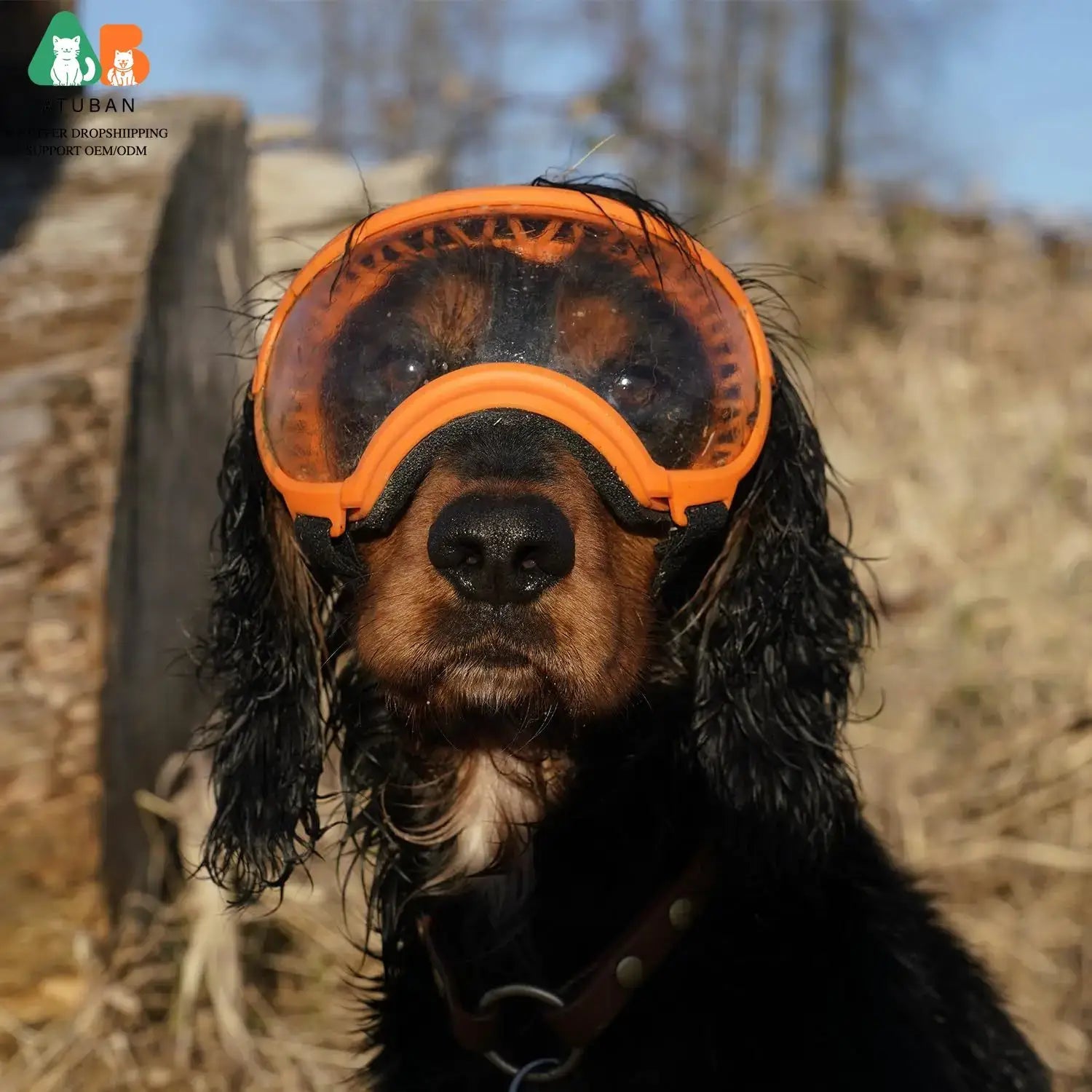 dog sunglasses with UV protection for dogs, orange ski goggles with adjustable strap for travel and outdoor protection