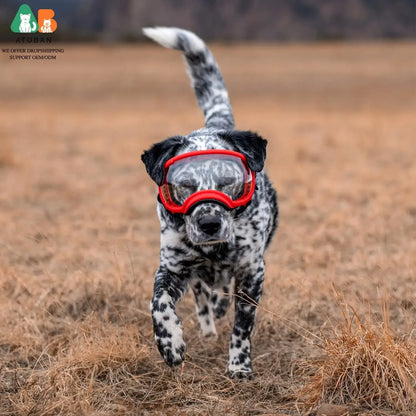 dog sunglasses with UV protection on a spotted dog wearing red goggles outdoors for travel and sun protection