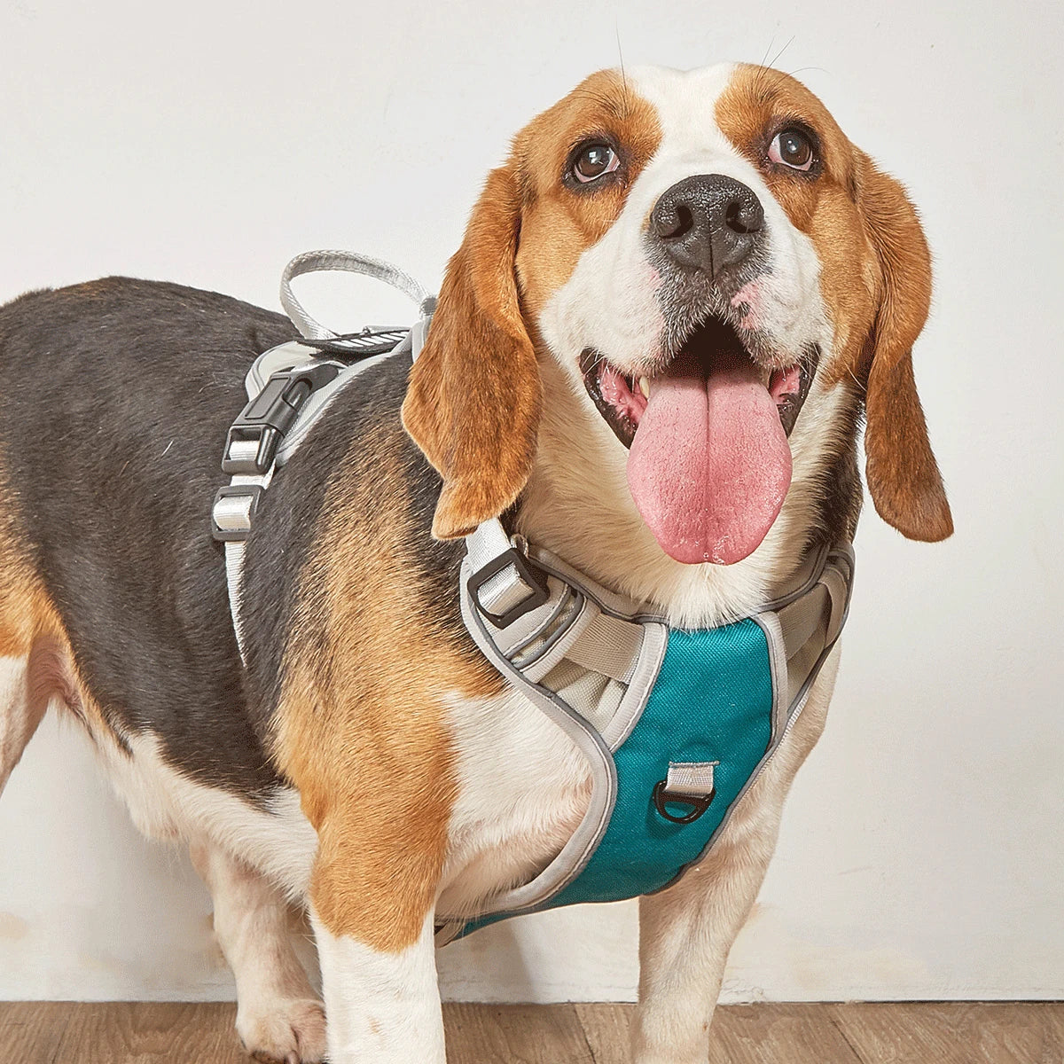 Dog Harness No Pull Outdoor Travel Dog Safety Vest Training Walking Adjustable Reflective Pet Harness for Medium Large Dogs on a Beagle.