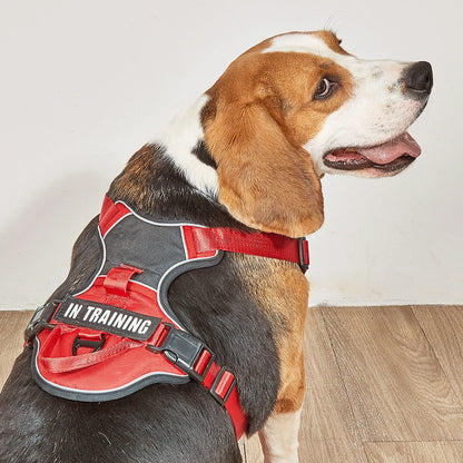 Dog Harness No Pull Outdoor Travel Dog Safety Vest Training Walking Adjustable Reflective Pet Harness for Medium Large Dogs