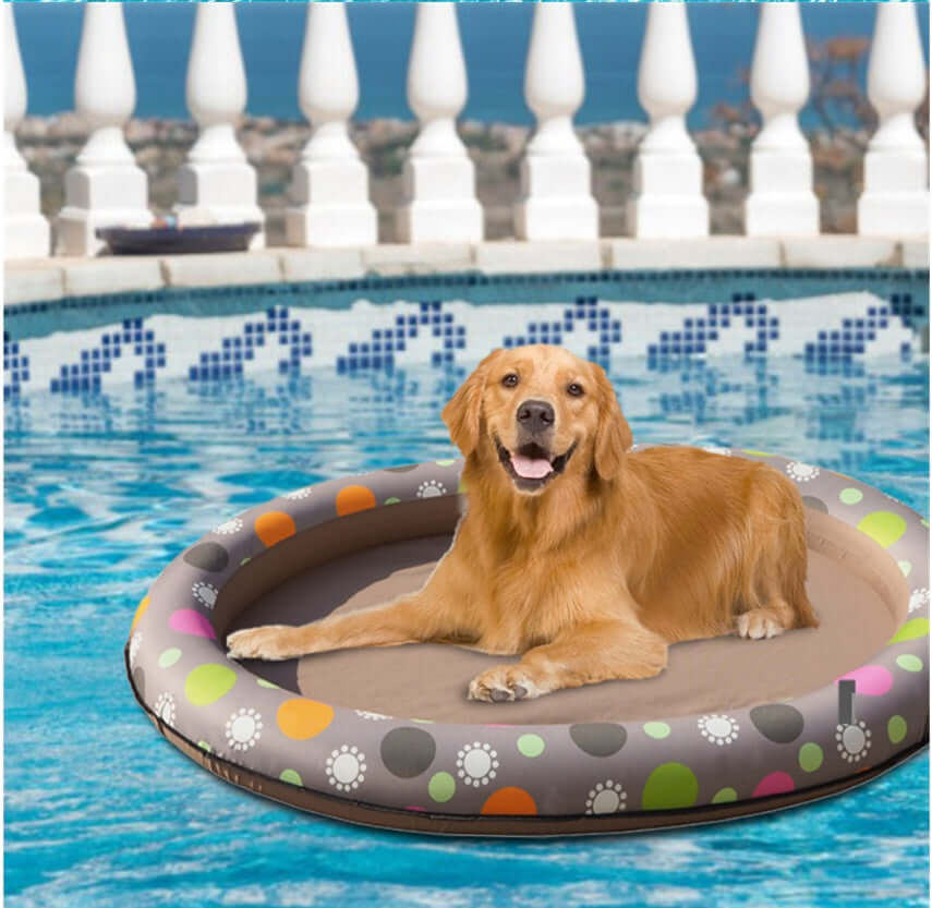 Golden retriever on an inflatable dog swimming pool float in a colorful design, enjoying summer in the water.